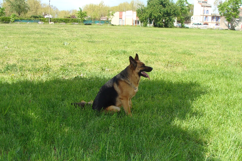 Briska Du mazet des salins