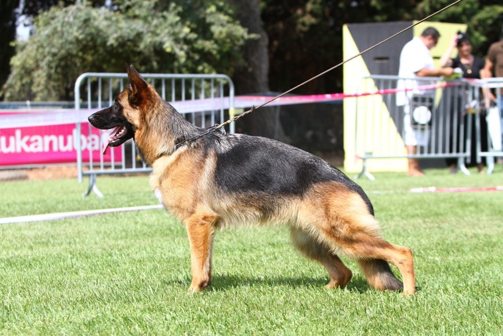 Ruby Du rhinland