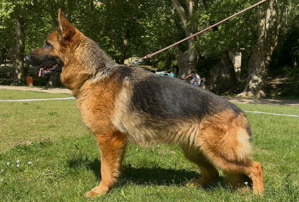 Tina Du Montgison