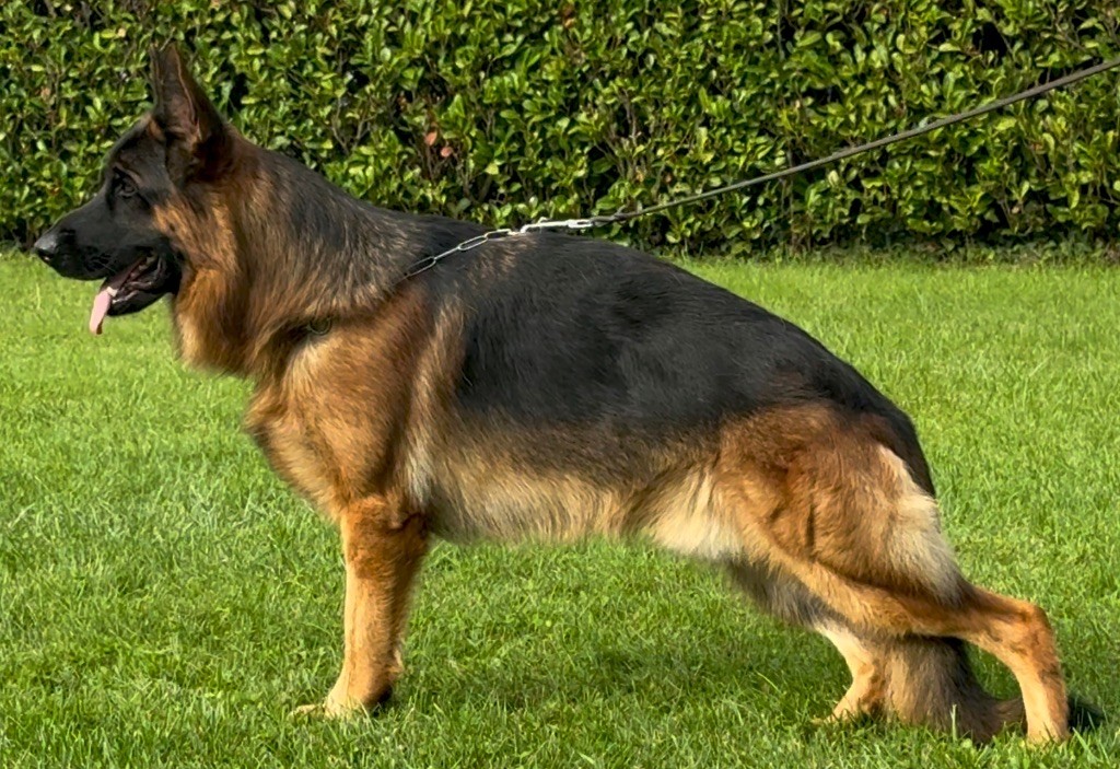 Vurtz Du mazet des salins